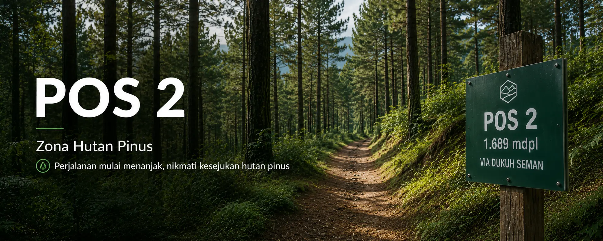 Zona cemoro dan peralihan