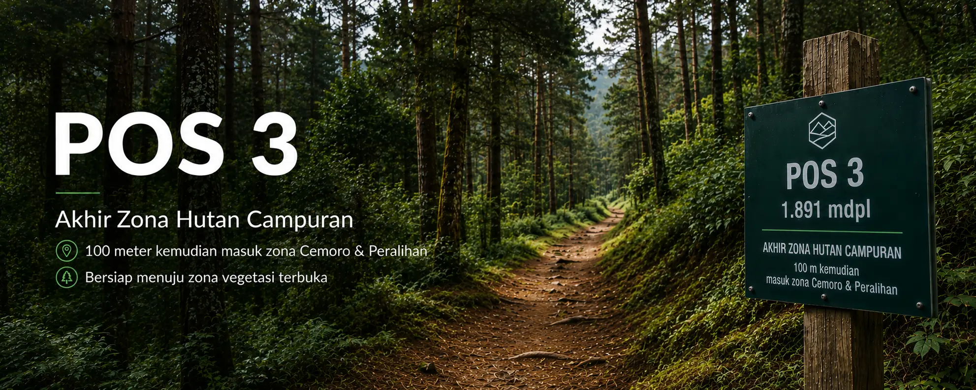 Zona hutan campuran