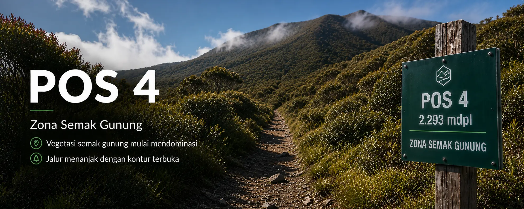Zona semak gunung