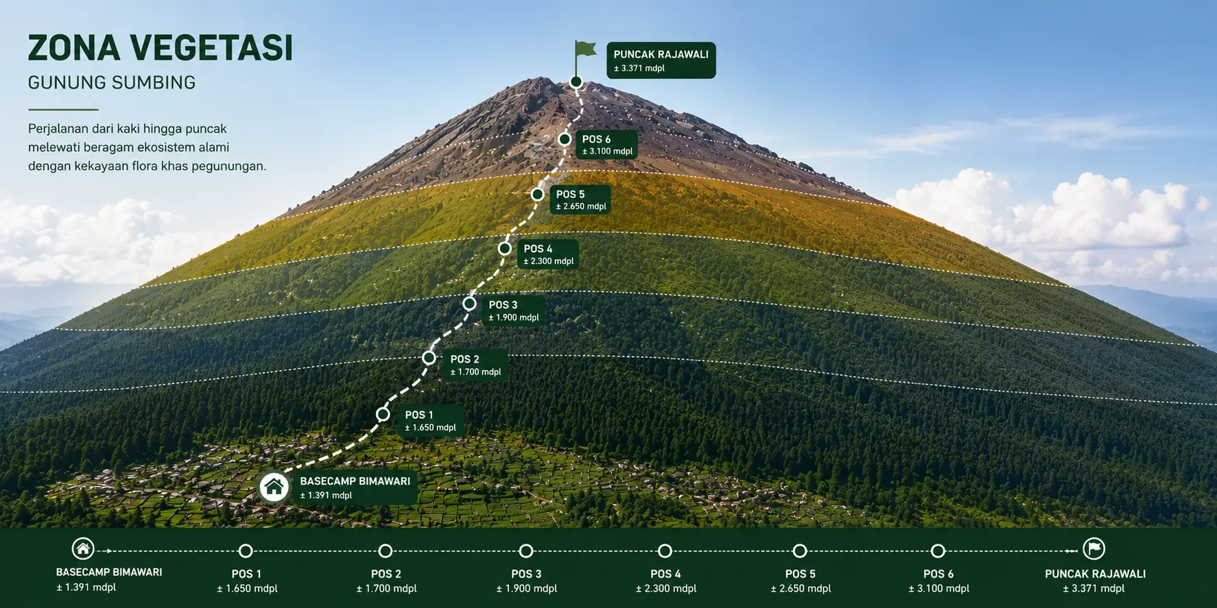 Diagram tujuh zona vegetasi Gunung Sumbing dari basecamp hingga puncak